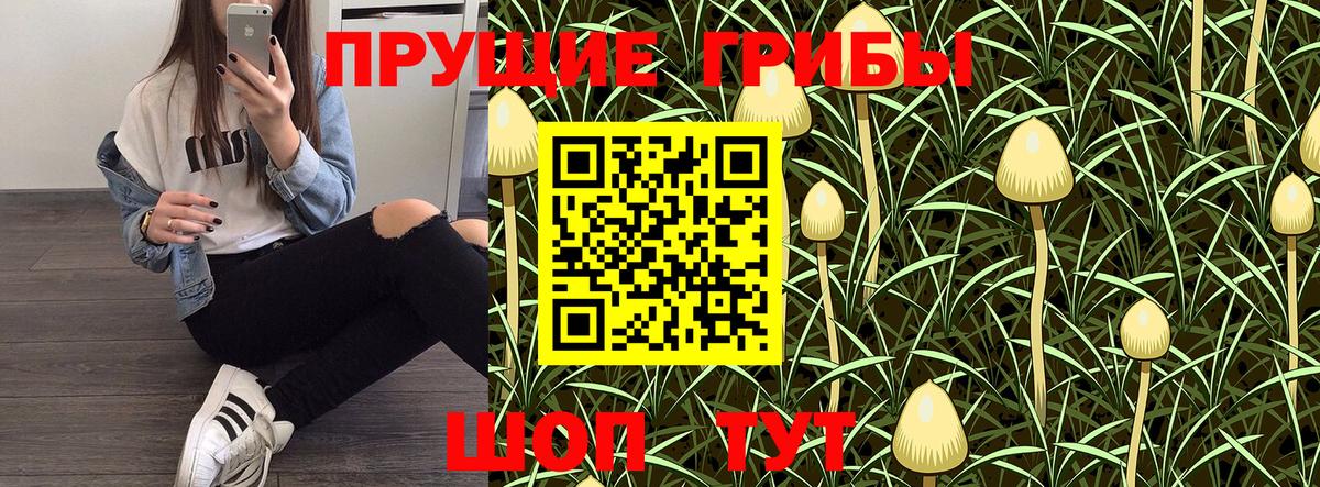 Галлюциногенные грибы мухоморы  Вход с VPN  Псилоцибиновые грибы Psilocybine cubensis  Кубинка 